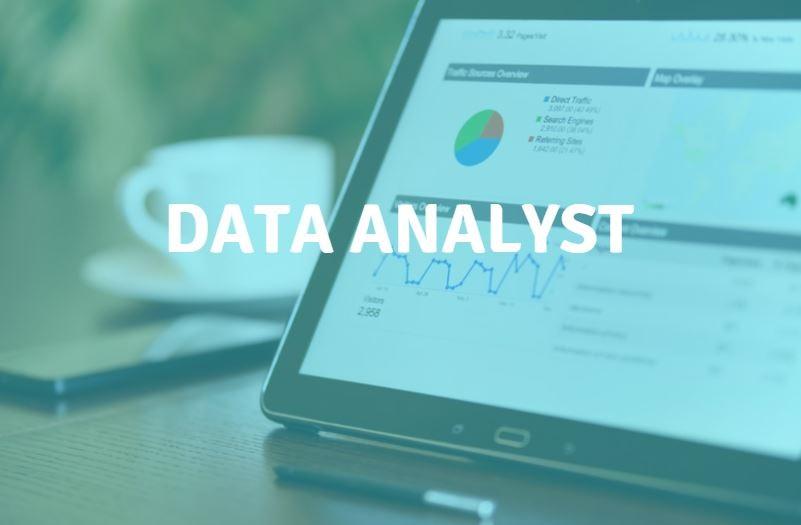 Data Analysts: How important are they? - Dictate The Game